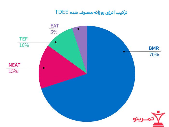 ترکیب انرژی روزانه مصرف شده