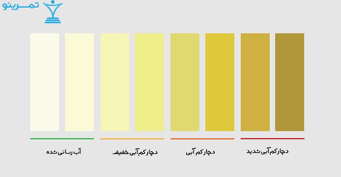 رنگ ادرار