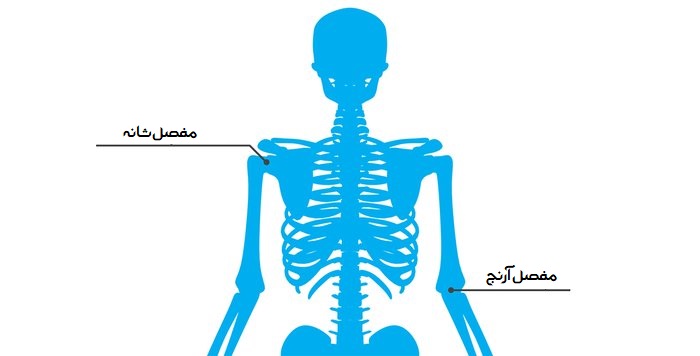 دو سر بازویی
