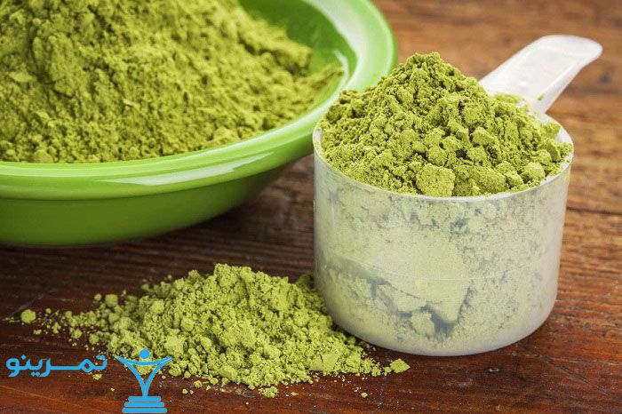 پروتئین گیاهی