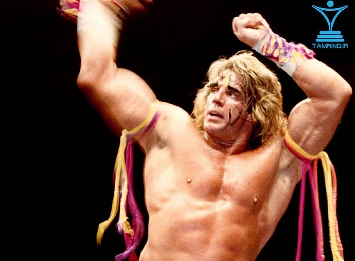 مبارز نهایی Ultimate Warrior