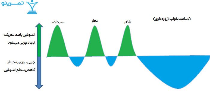 برنامه غذایی روزانه