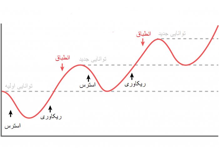 نمودار رشد عضلانی
